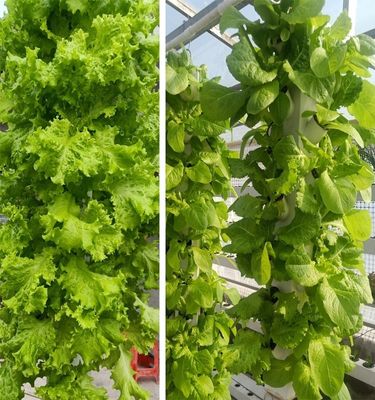 2023 Hot selling plastic pot hydroponic vertical garden artificial wall pot vertical garden 112+ Plants hydroponics vertical