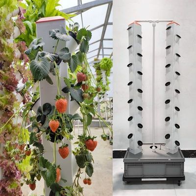 Perfect Vertical Column Hydroponic Aeroponic Planting System Aeroponic Growtower
