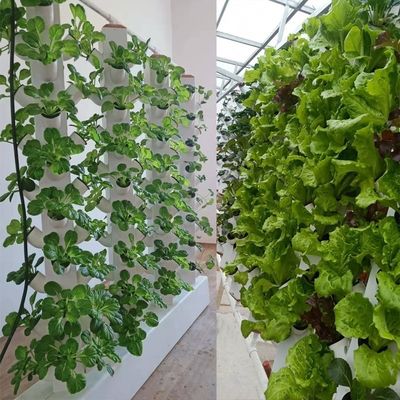 Perfect Vertical Column Hydroponic Aeroponic Planting System Aeroponic Growtower