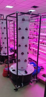 Hydroponic System Aeroponic TowerGarden  rotating hydroponic For Leaf Vegetables