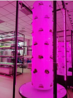 Hydroponic System Aeroponic TowerGarden  rotating hydroponic For Leaf Vegetables