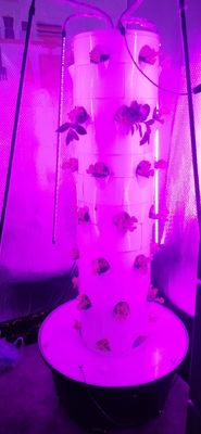 Hydroponic System Aeroponic Tower For Strawberry And Leaf Vegetables Rotating Farming