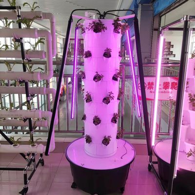 Hydroponic System Aeroponic Tower For Strawberry And Leaf Vegetables Rotating Farming