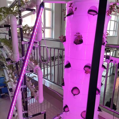 Hydroponic System Aeroponic Tower For Strawberry And Leaf Vegetables Rotating Farming