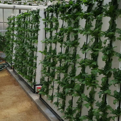 Hydroponic Growing Systems Grow Leafy Vegetables Zipper Indoor Hydroponics Vertical