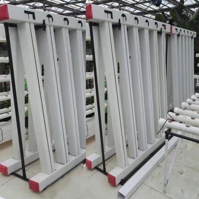 Hydroponic Growing Systems Grow Leafy Vegetables Zipper Indoor Hydroponics Vertical