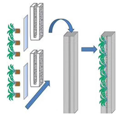 Hydroponic Growing Systems Grow Leafy Vegetables Zipper Indoor Hydroponics Vertical