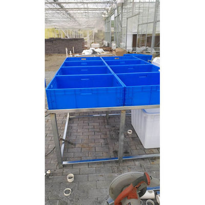 Aquaponics Greenhouse Hydroponics Growing System Fish Tank For Fish And Vegetable