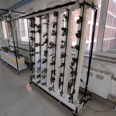 Commercial Hydroponics Nft Strawberry And Flower Vertical Growing System Zipgrow Tower