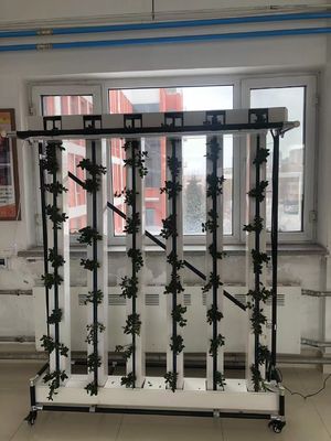 Commercial Hydroponics Nft Strawberry And Flower Vertical Growing System Zipgrow Tower