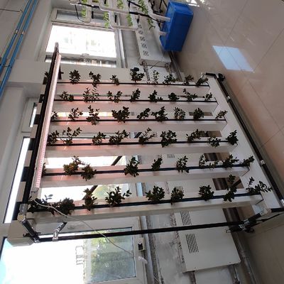 Commercial Hydroponics Nft Strawberry And Flower Vertical Growing System Zipgrow Tower